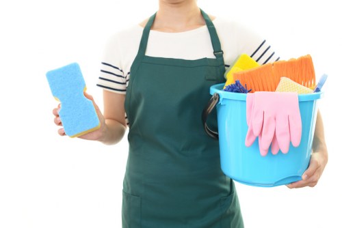 Cleaning equipment and safety precautions in a Dulwich home