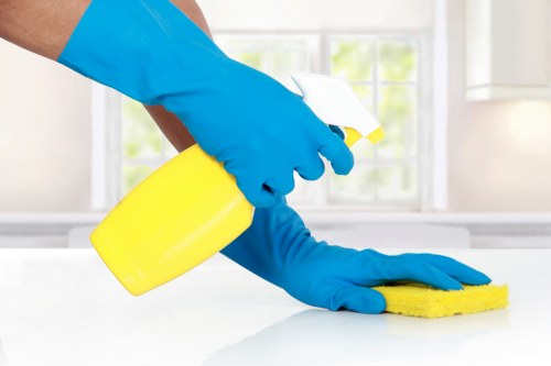 Regular window cleaning service for a Dulwich property