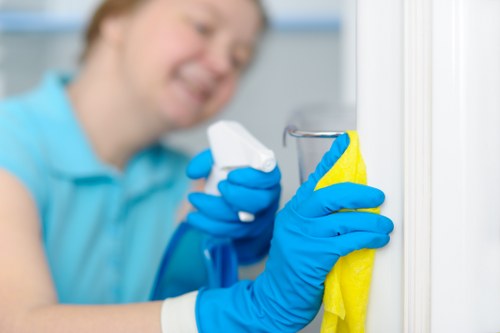 Professional house cleaning support for a Dulwich family home