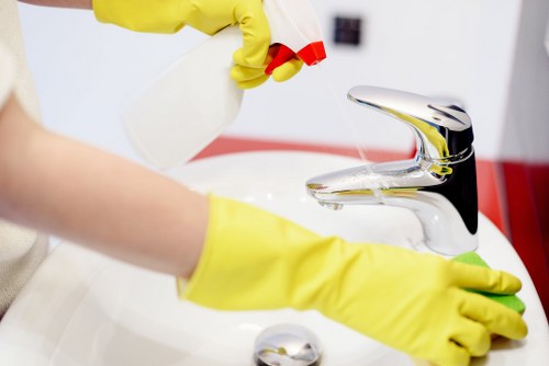 Professional oven cleaning service for a Dulwich home kitchen