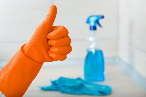 Professional carpet cleaning process with extraction equipment in a home interior