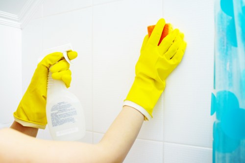 House cleaning checklist and cleaning supplies for Dulwich homeowners