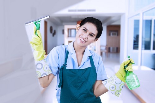 Deep cleaning of oven racks and trays in Dulwich