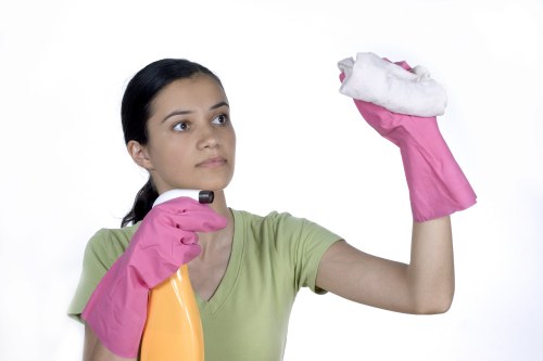 Professional carpet cleaners using modern equipment in Dulwich