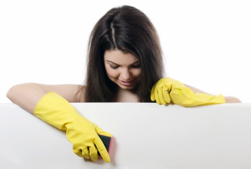 Domestic cleaning details for a Dulwich bathroom and hallway
