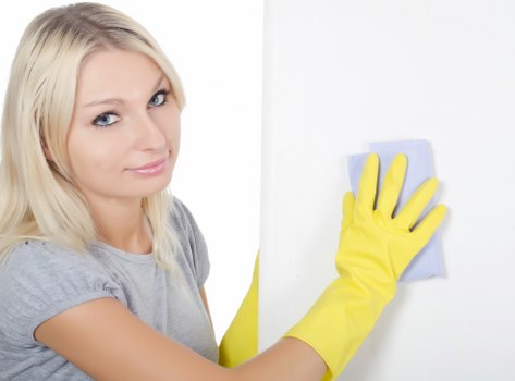 Technician discussing carpet cleaning appointment details and access requirements