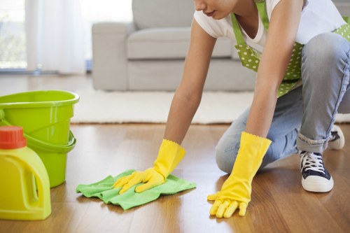 Professional cleaner carrying out routine kitchen cleaning in Dulwich